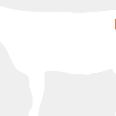 Uniontown Brand-White Thumbnail